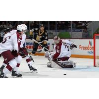 Peterborough Petes goaltender Zach Bowen