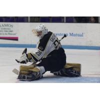 Muskegon Lumberjacks goaltender Shikhabudtin Gadzhiev