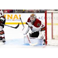 Tucson Roadrunners goaltender Dylan Wells