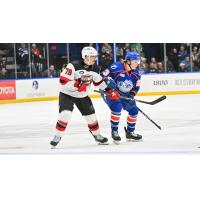 Utica Comets' Samuel Laberge and Syracuse Crunch's Maxim Groshev on game night