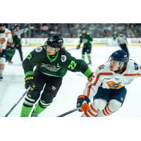 Savannah Ghost Pirates' Logan Drevitch versus Greenville Swamp Rabbits' Dru Krebs