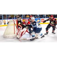 Grand Rapids Griffins goaltender Ville Husso vs. the Milwaukee Admirals