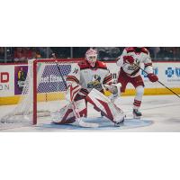 Grand Rapids Griffins goaltender Ville Husso