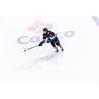 Marek Rocak of the Kelowna Rockets