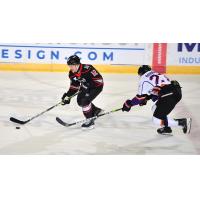 Adirondack Thunder's Andre Ghantous and Reading Royals' Jacques Bouquot in action