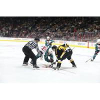 Wheeling Nailers face off with the Cincinnati Cyclones