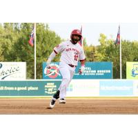 Winnipeg Goldeyes infielder Edwin Arroyo