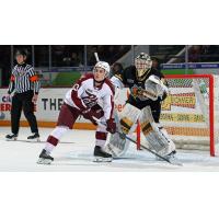 Peterborough Petes centre Gavin Bryant vs. the Sarnia Sting