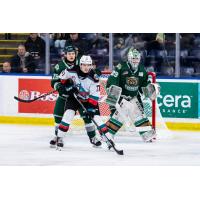 Kayden Longley of the Kelowna Rockets vs. the Everett Silvertips