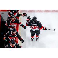 Belleville Senators' Zack MacEwen congratulated by team