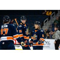 Greenville Swamp Rabbits gather following a goal