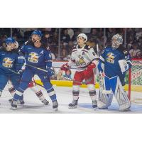 Grand Rapids Griffins face the Colorado Eagles