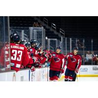 South Carolina Stingrays exchange congratulations along the bench