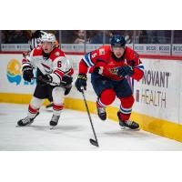 Springfield Thunderbirds defenseman Corey Schueneman (right) vs. the Charlotte Checkers