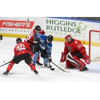 Idaho Steelheads' Ty Pelton-Byce battles Rapid City Rush's Holden Wale, Billy Constantinou, and Christian Propp