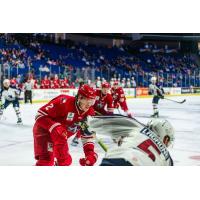 Allen Americans defenseman Quinn Warmuth (left)