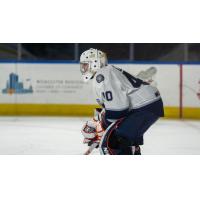 Worcester Railers goaltender John Muse