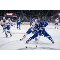 Syracuse Crunch defenseman Steven Santini vs. the Toronto Marlies