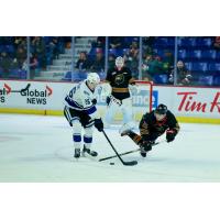 Vancouver Giants defenceman Kolby Gapter dives for a puck against the Victoria Royals