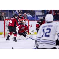 Vancouver Giants goaltender Burke Hood