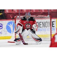 Goaltender Brady Smith with the Moose Jaw Warriors