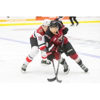 Vancouver Giants right wing Cameron Schmidt vs. the Prince George Cougars